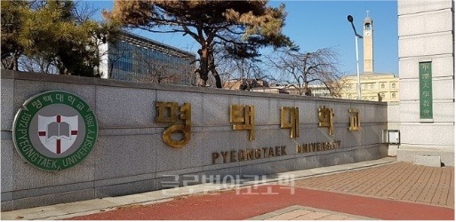 평*대학교 설치 사례